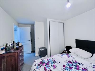 Picture 9